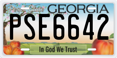 GA license plate PSE6642