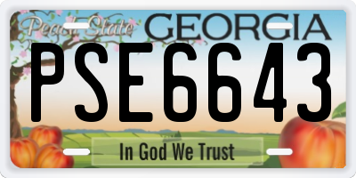 GA license plate PSE6643
