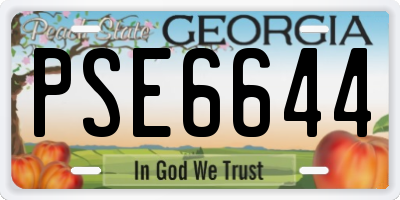 GA license plate PSE6644