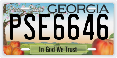 GA license plate PSE6646