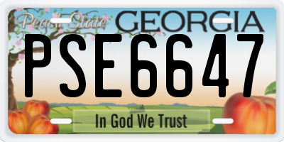 GA license plate PSE6647