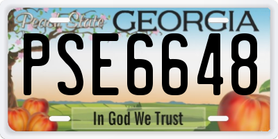 GA license plate PSE6648