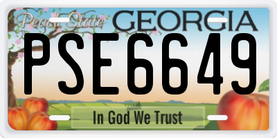 GA license plate PSE6649