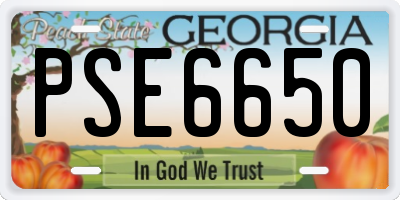 GA license plate PSE6650