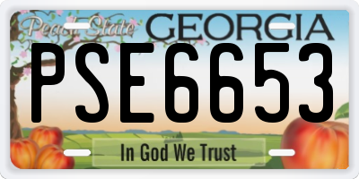 GA license plate PSE6653