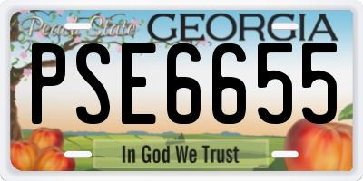 GA license plate PSE6655