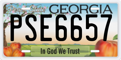 GA license plate PSE6657