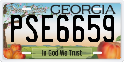 GA license plate PSE6659
