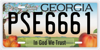 GA license plate PSE6661