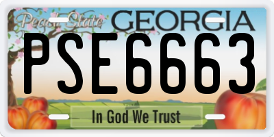 GA license plate PSE6663