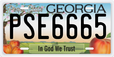 GA license plate PSE6665