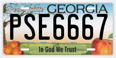 GA license plate PSE6667