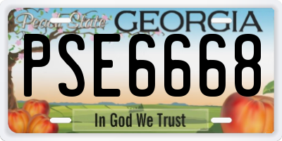 GA license plate PSE6668