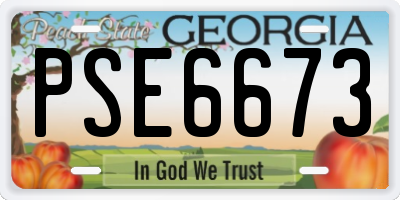 GA license plate PSE6673