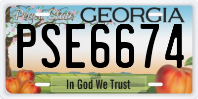 GA license plate PSE6674