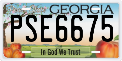 GA license plate PSE6675