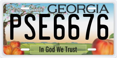 GA license plate PSE6676