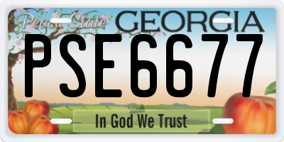 GA license plate PSE6677
