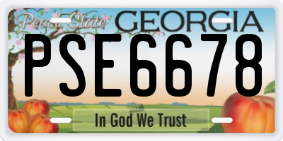 GA license plate PSE6678