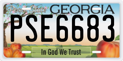 GA license plate PSE6683