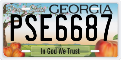 GA license plate PSE6687