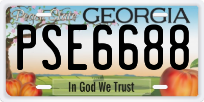 GA license plate PSE6688