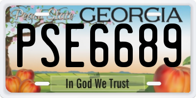 GA license plate PSE6689