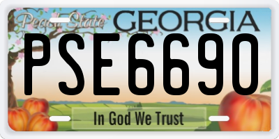 GA license plate PSE6690