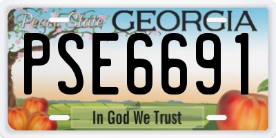 GA license plate PSE6691