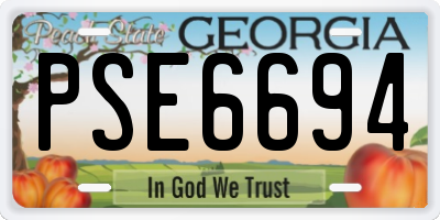 GA license plate PSE6694