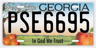 GA license plate PSE6695