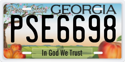 GA license plate PSE6698