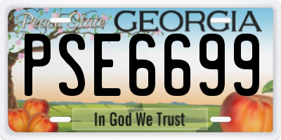GA license plate PSE6699