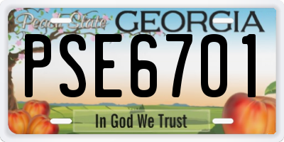 GA license plate PSE6701