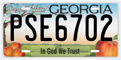 GA license plate PSE6702