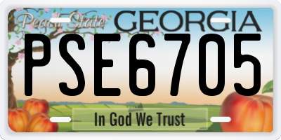 GA license plate PSE6705