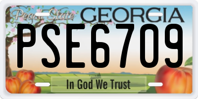 GA license plate PSE6709