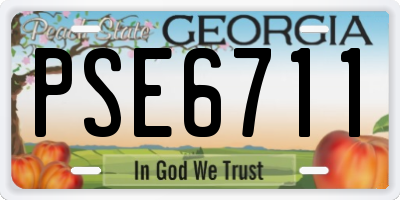 GA license plate PSE6711