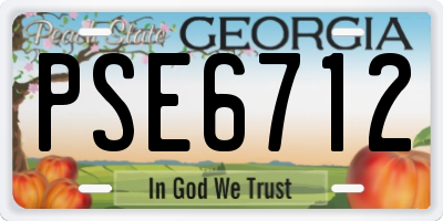 GA license plate PSE6712