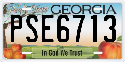 GA license plate PSE6713