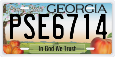 GA license plate PSE6714