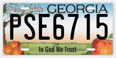 GA license plate PSE6715