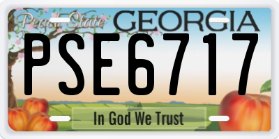 GA license plate PSE6717