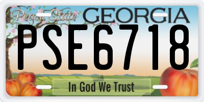 GA license plate PSE6718