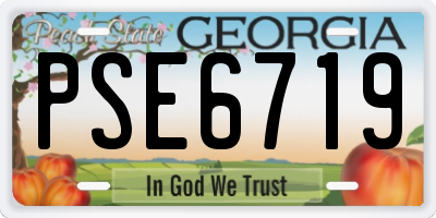 GA license plate PSE6719