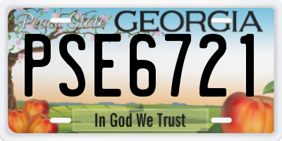 GA license plate PSE6721