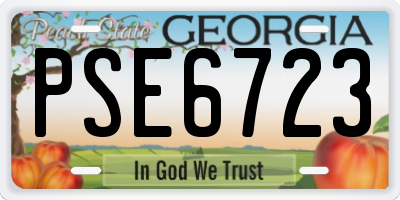 GA license plate PSE6723