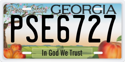 GA license plate PSE6727