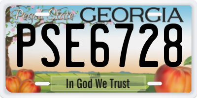GA license plate PSE6728