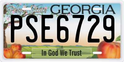 GA license plate PSE6729